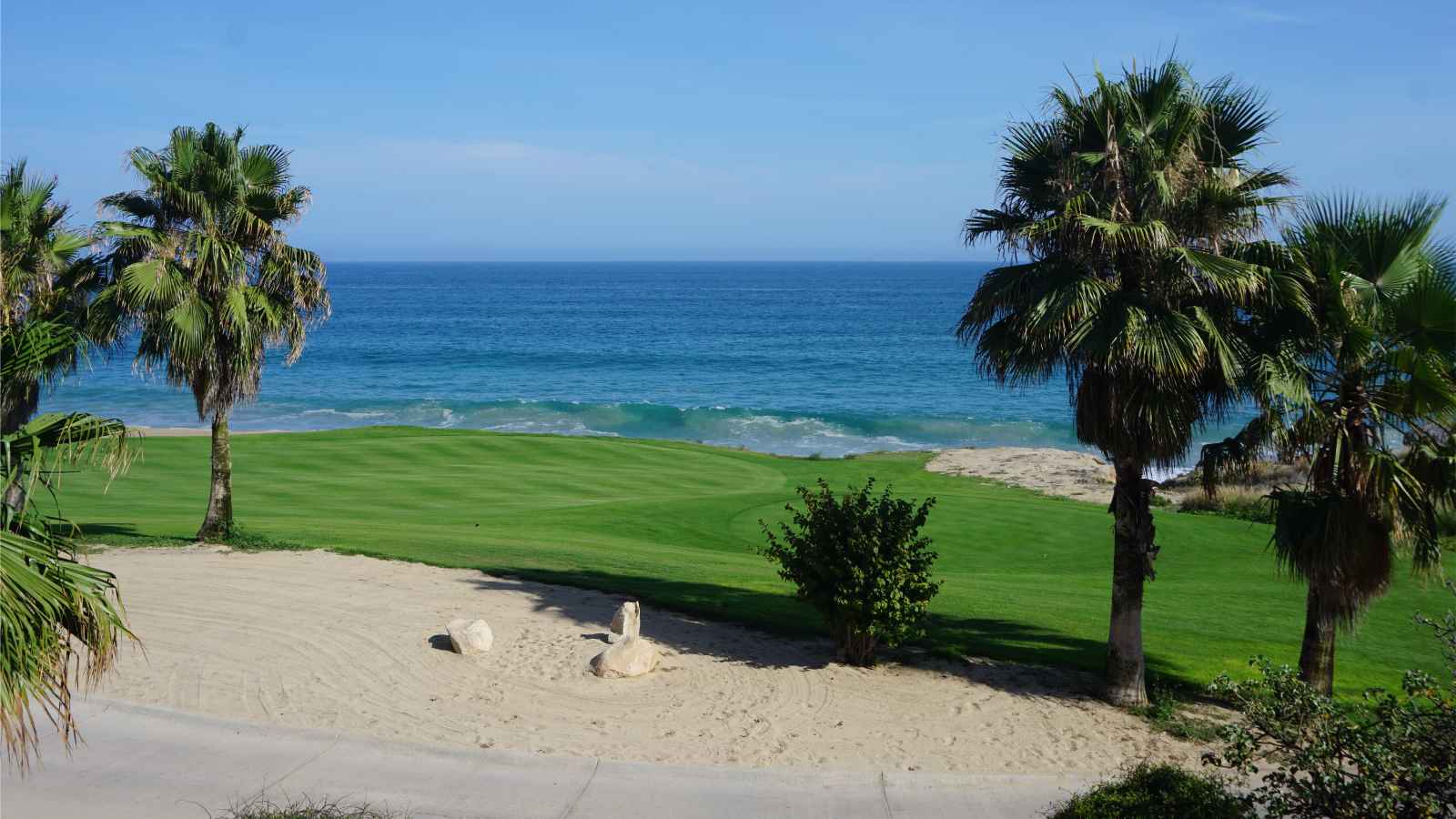 Qué hacer en el campo de golf de San Jose Del Cabo