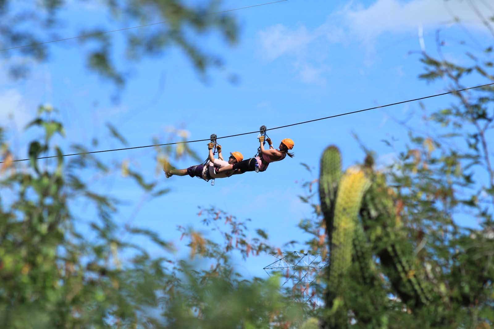 Qué hacer en San Jose Del Cabo Tirolina