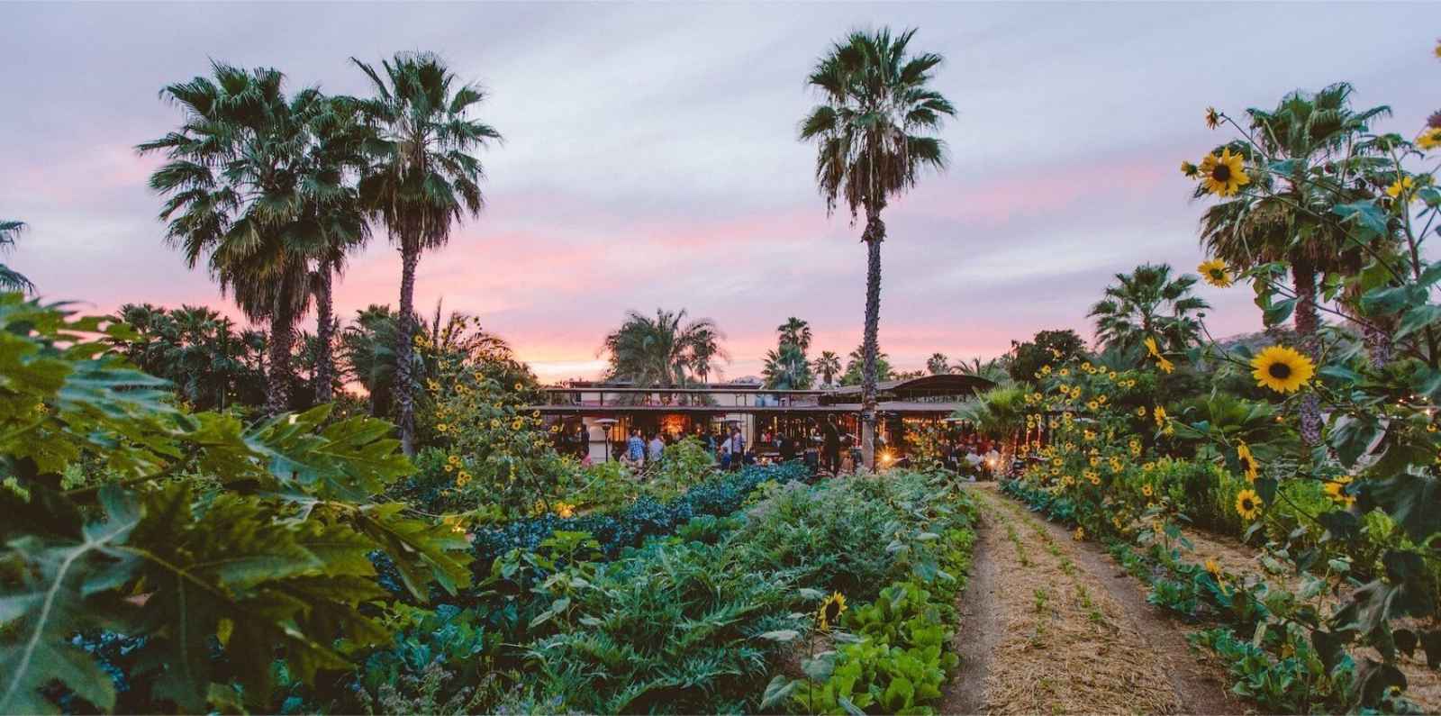 Qué hacer en San Jose Del Cabo Cooking Class