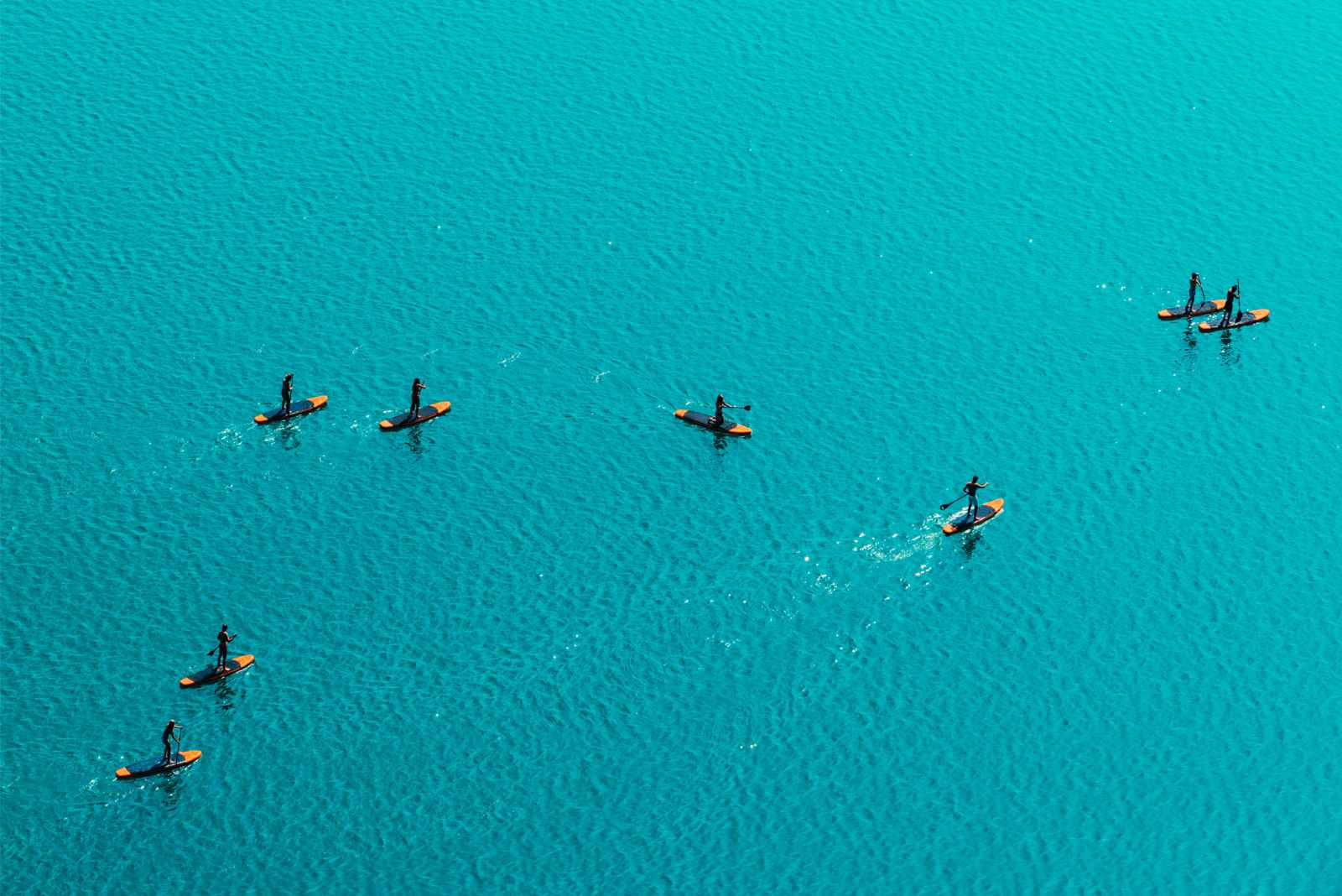 Qué hacer en San Jose del Cabo Palmilla Beach SUP