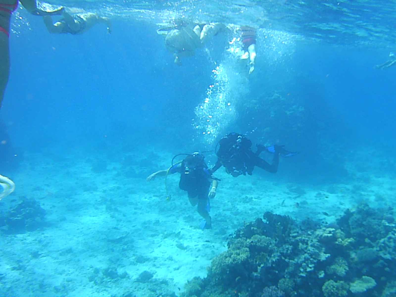 Qué hacer en San Jose Del Cabo Snorkel