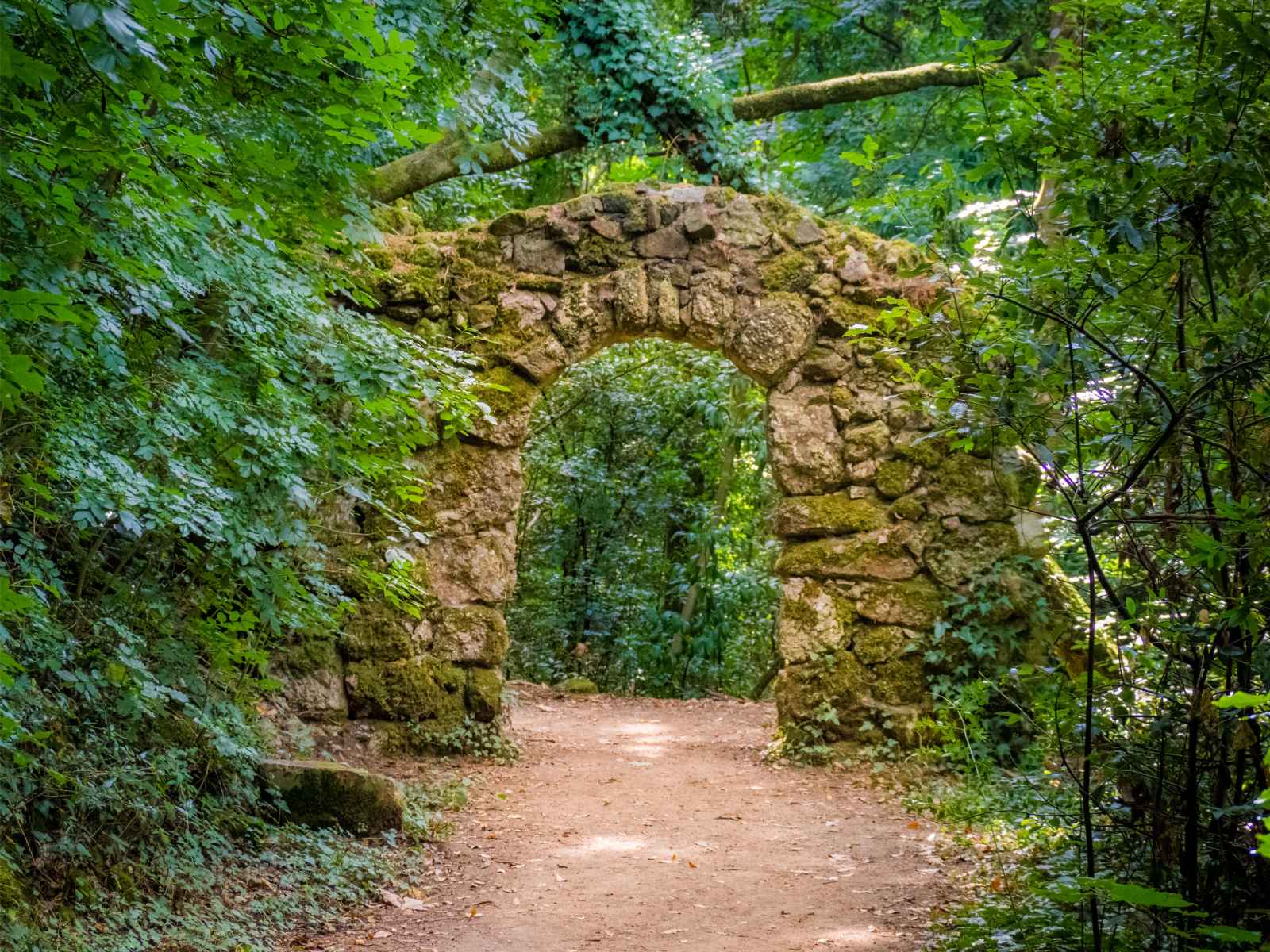 Qué hacer en Portugal Bosque Nacional Bucaco