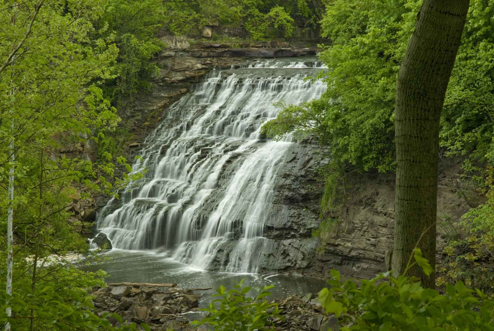 Qué hacer en Cleveland Mill Creek Falls