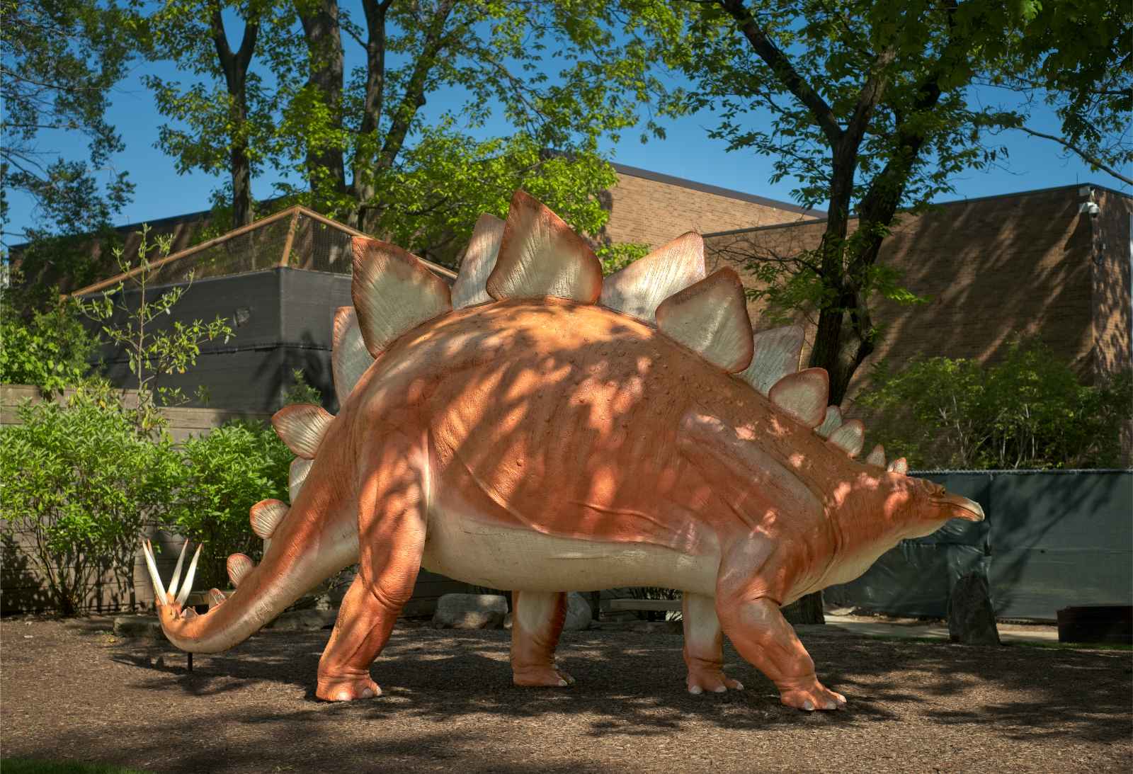 Qué hacer en el Museo de Historia Natural de Cleveland