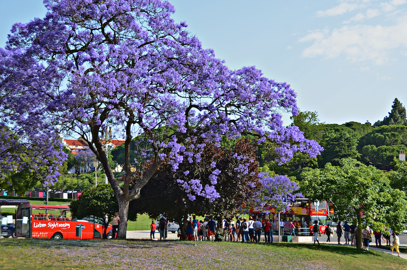 Primavera de Lisboa