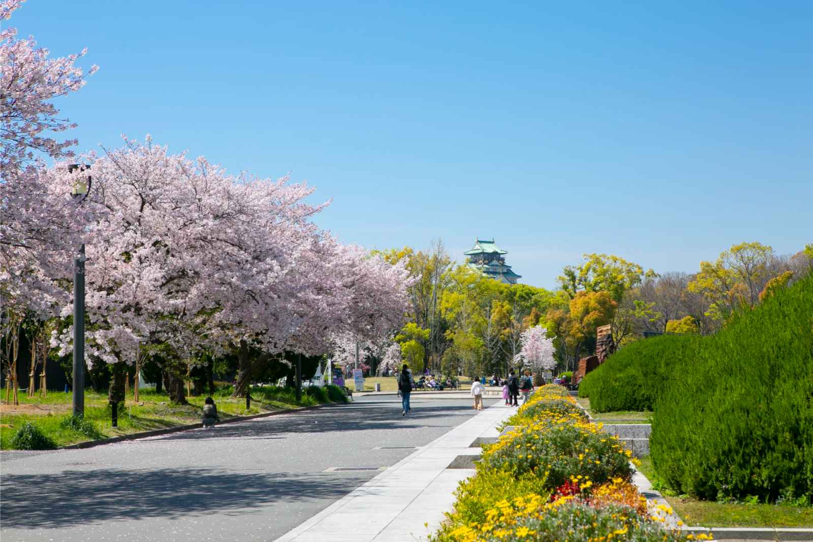 Las mejores cosas que hacer en Osaka Consejos e información