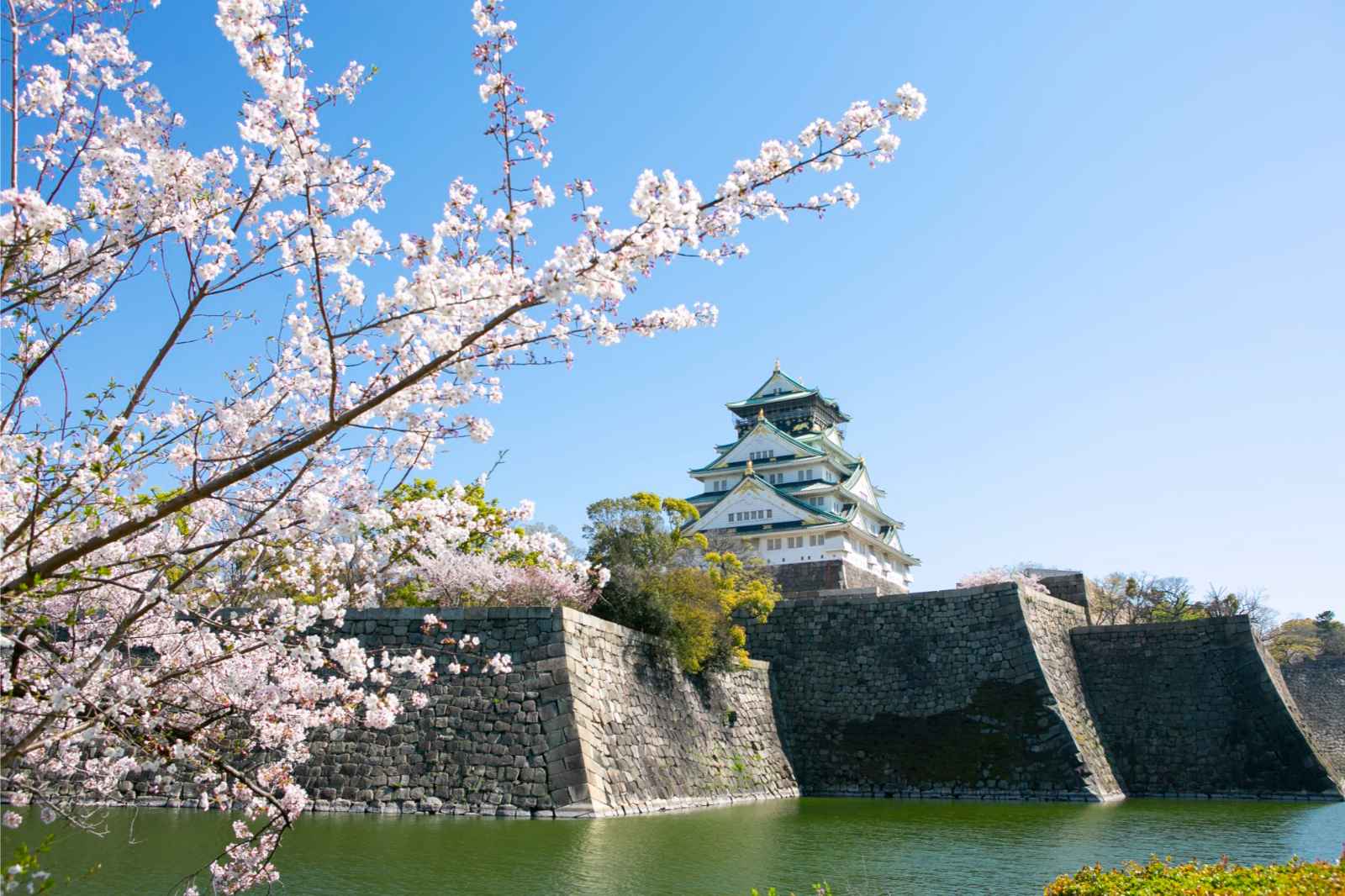 Las mejores cosas que hacer en el castillo de Osaka