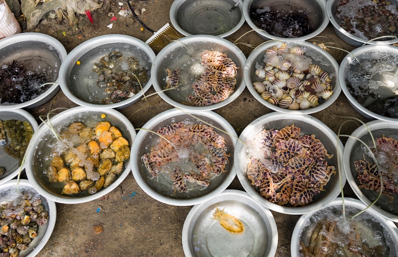 Cham Sea Food