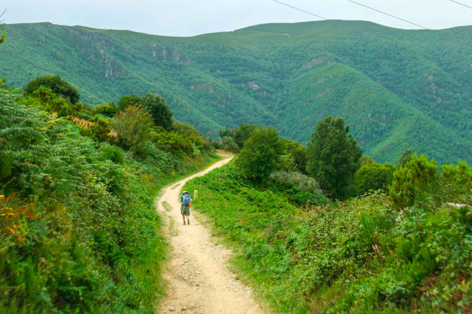 Qué hacer en España Camino de Santiago