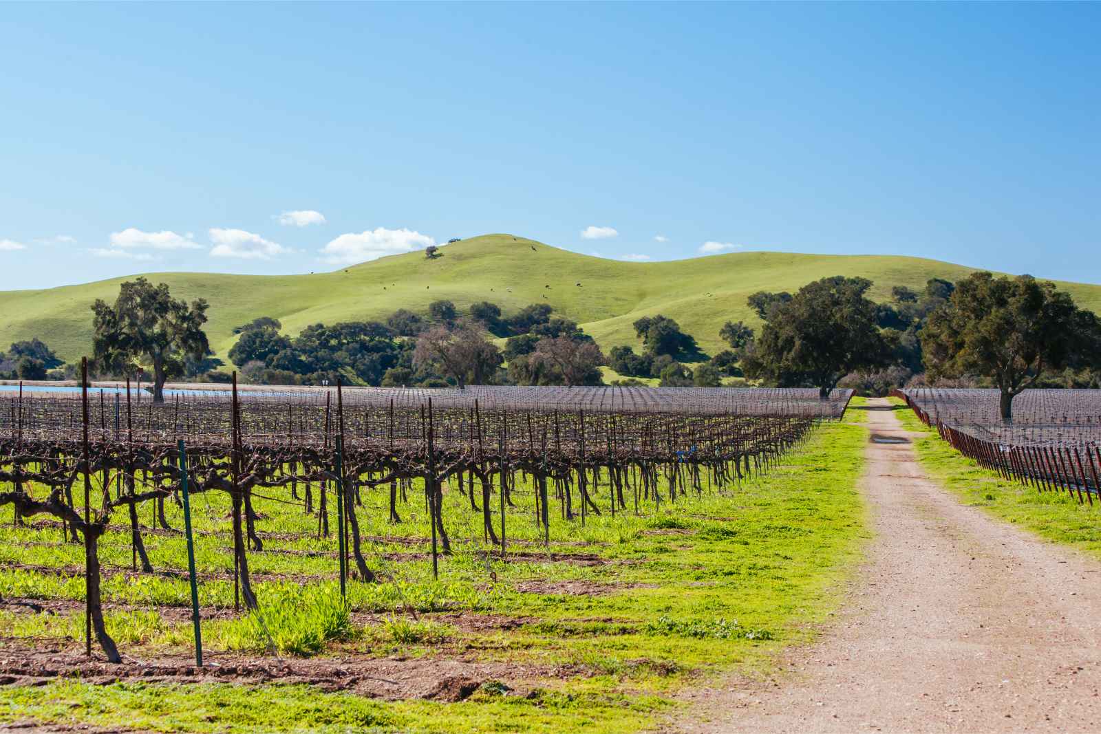 Las mejores cosas que hacer en el sur de California Santa Ynez Valley