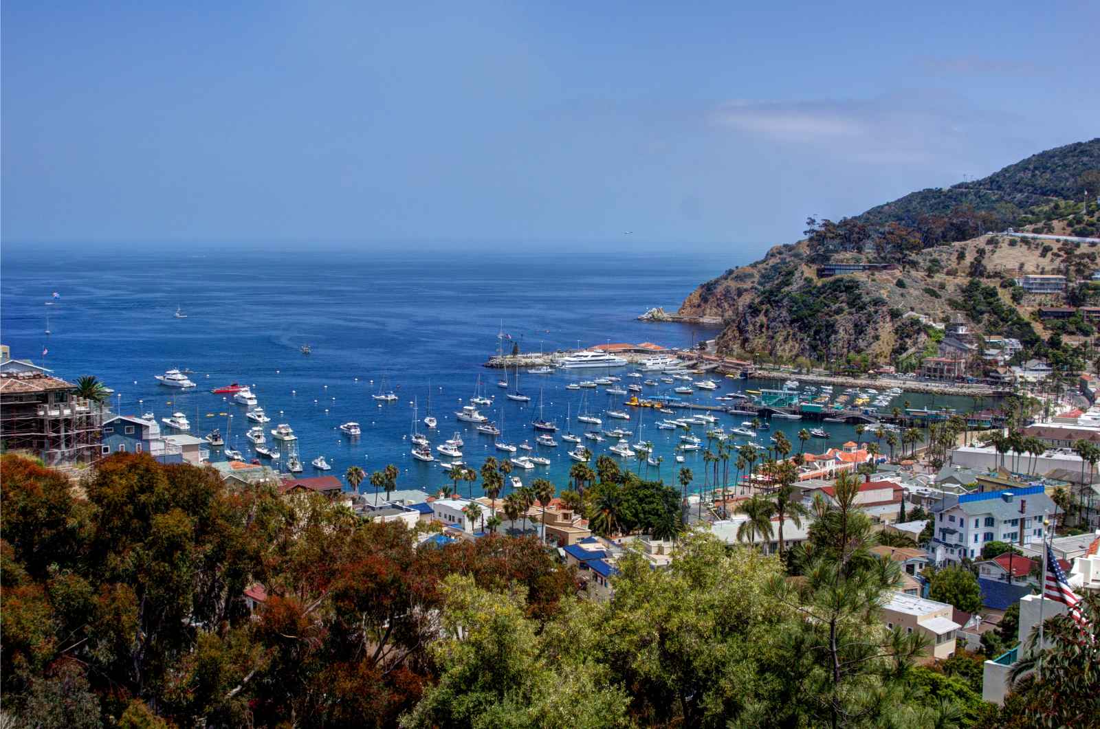 Las mejores cosas que hacer en el sur de California Catalina Island