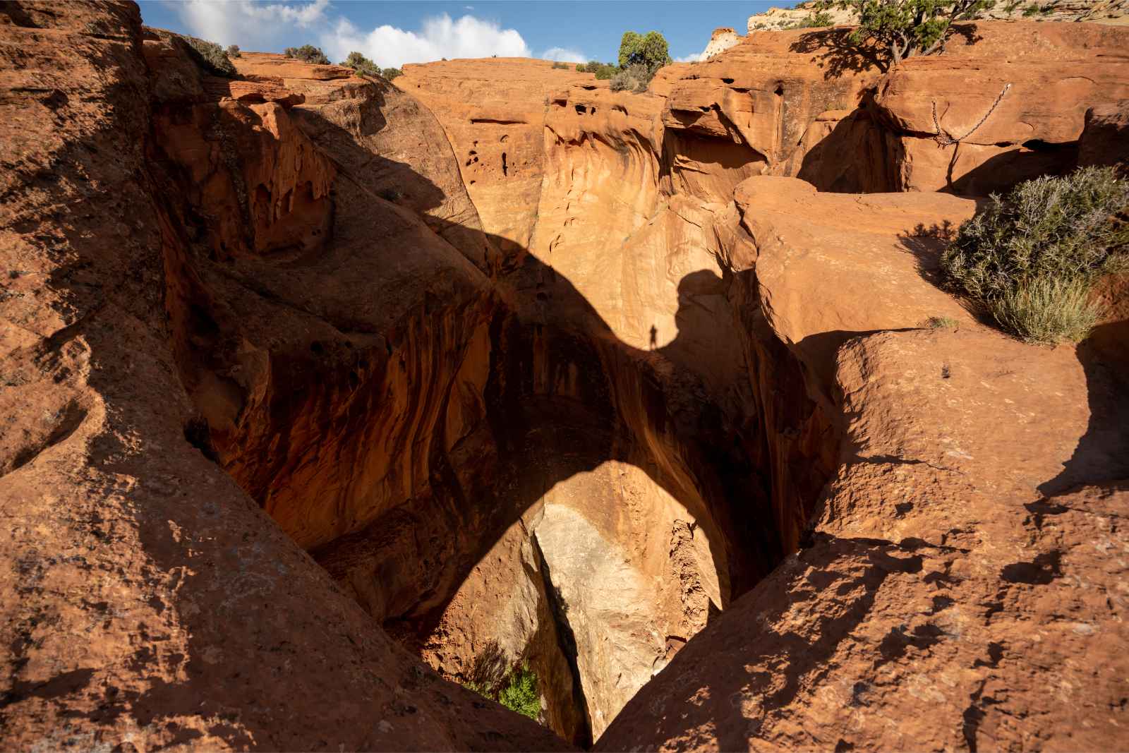 Mejores parques nacionales para visitar en marzo Capitol Reef Cassidy Arch