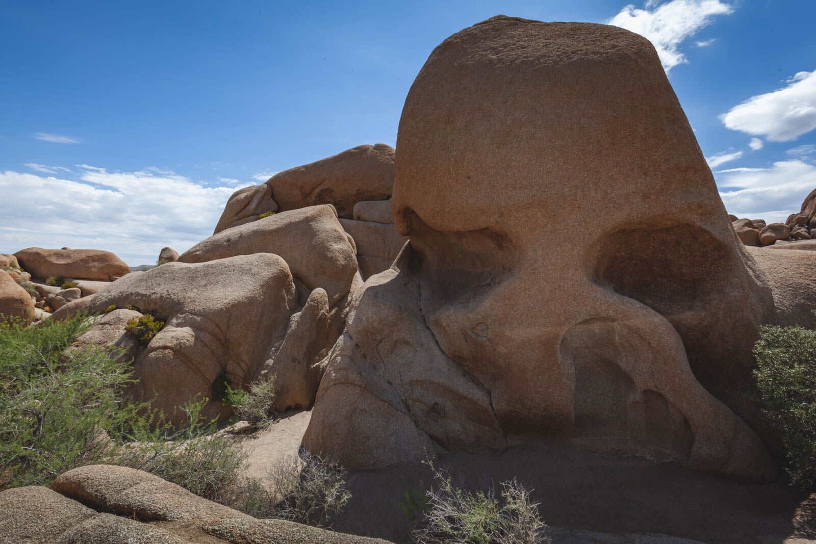 Visitando el Parque Nacional de Joshua Tree en marzo de Estados Unidos