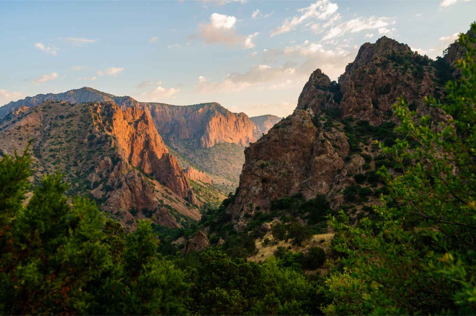 Mejores parques nacionales para visitar en Big Bend de marzo