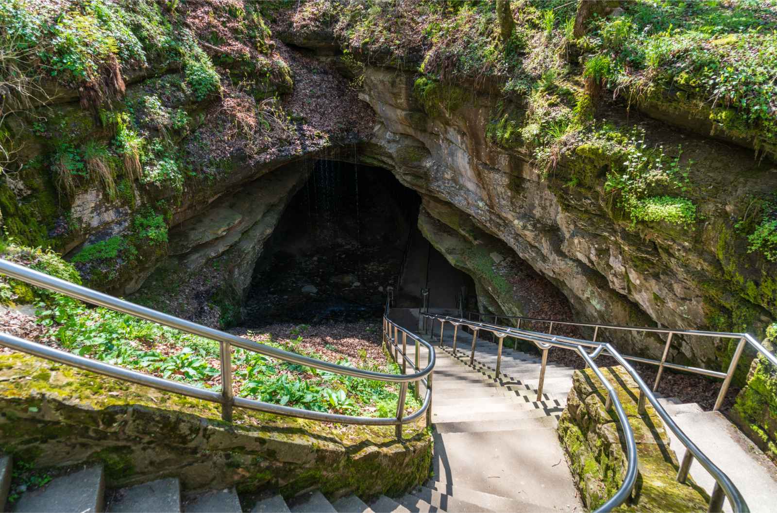 Mejores parques nacionales para visitar en marzo Entrada de la cueva del mamut