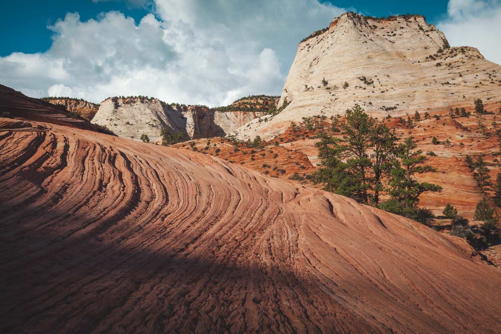 Mejores parques nacionales para visitar en marzo Parque nacional de Zion 