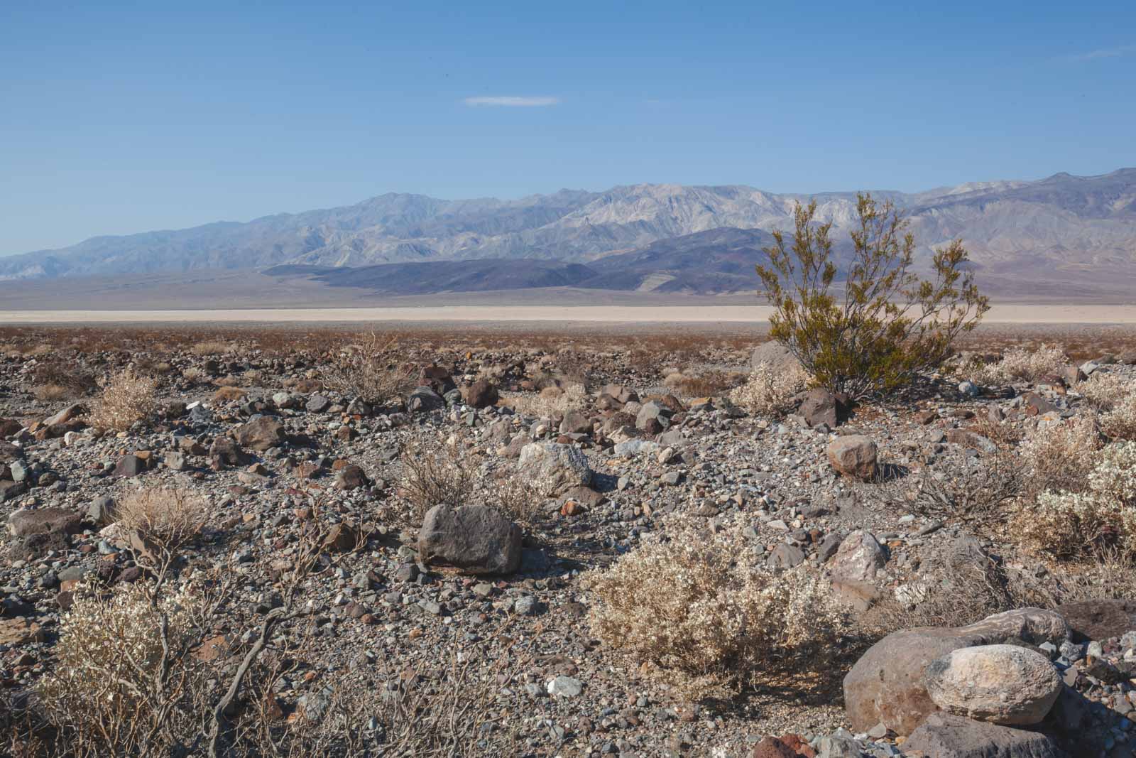 Visita al Parque Nacional del Valle de la Muerte en marzo