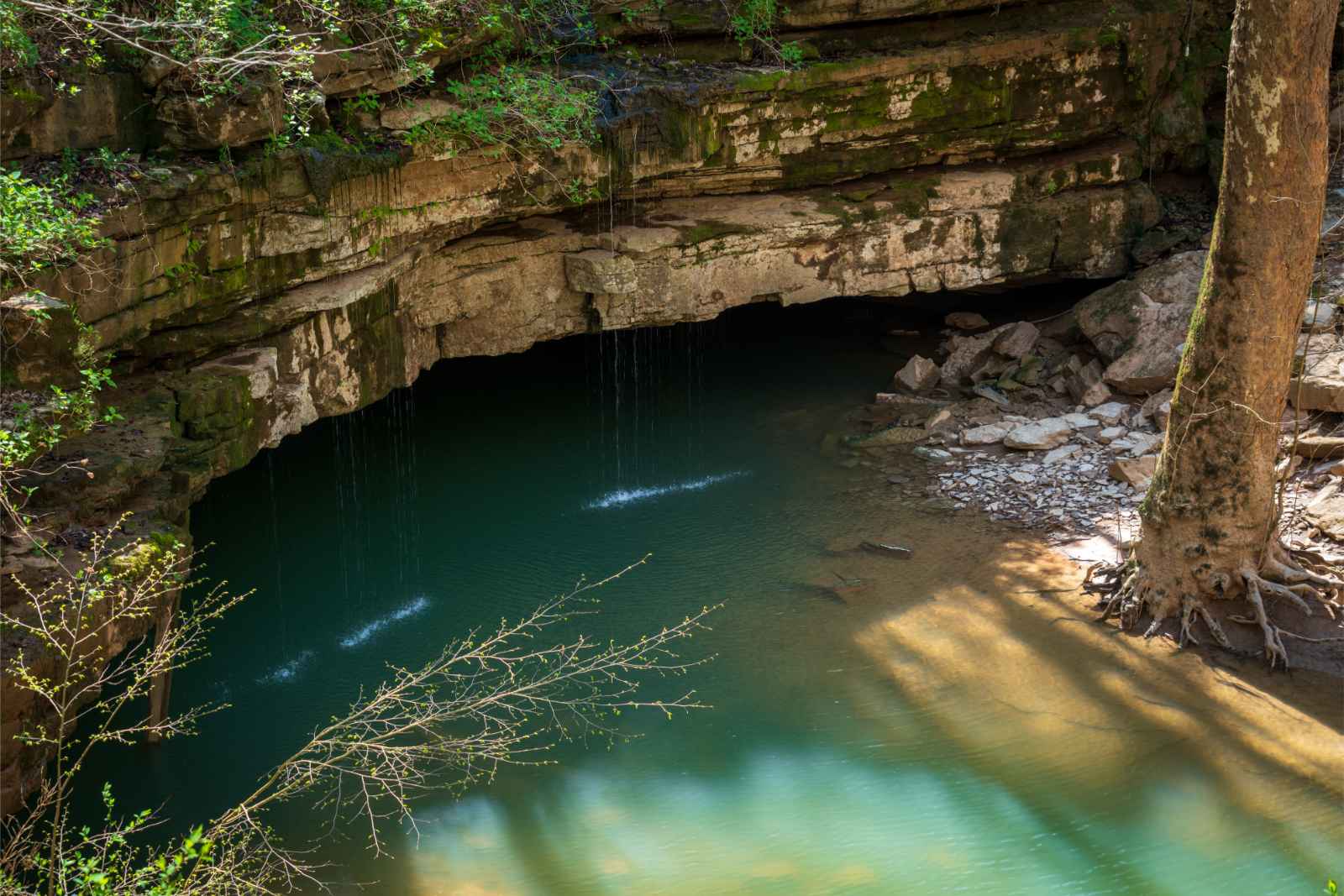 Mejores parques nacionales para visitar en marzo Mammoth Cave