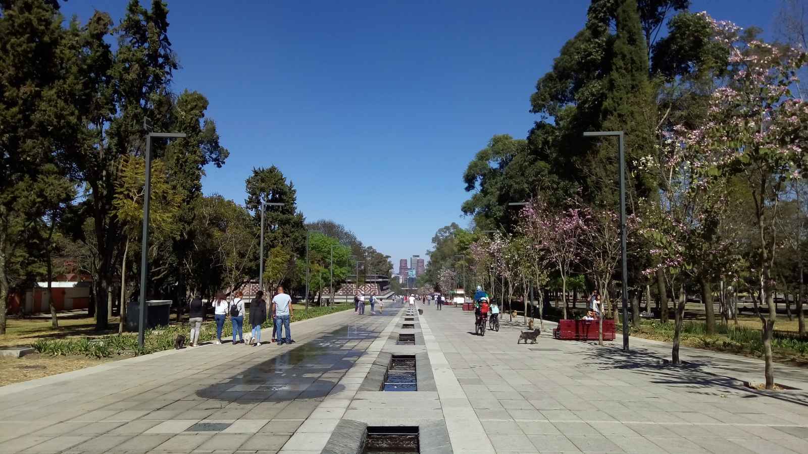 Ciudad de México es seguro visitar a los viajeros en solitario Chapultepac