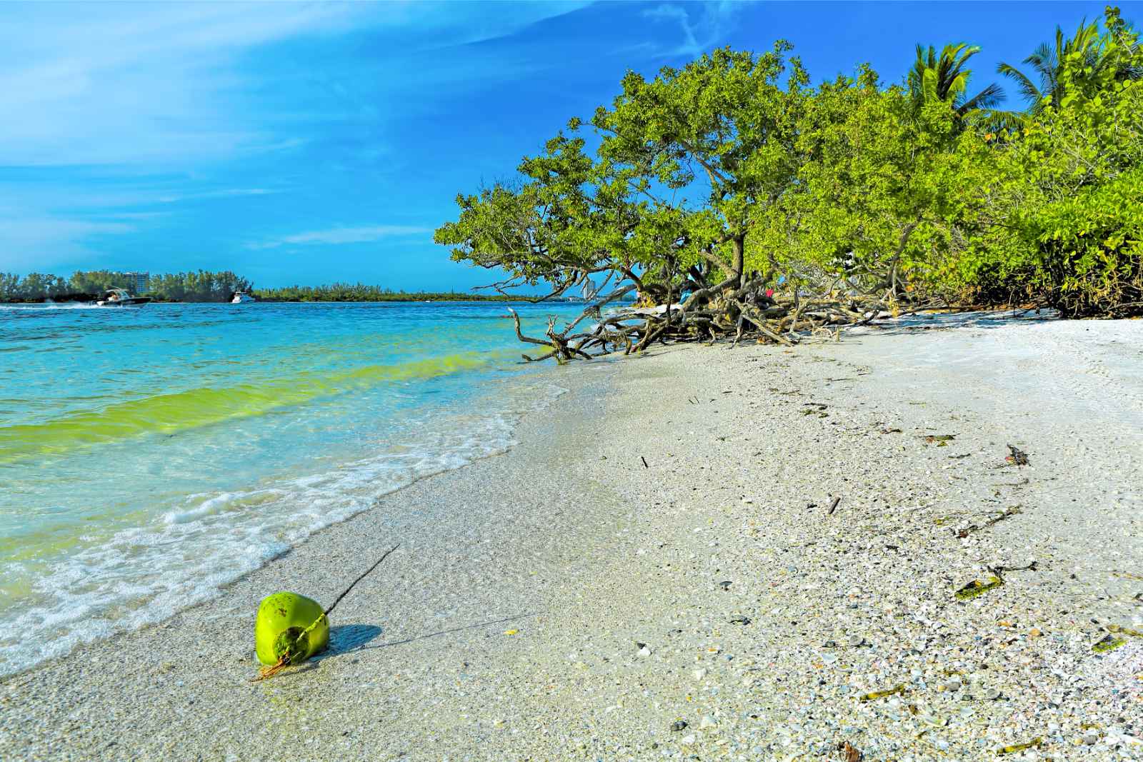 Dónde alojarse en Sarasota Lido Key Beach