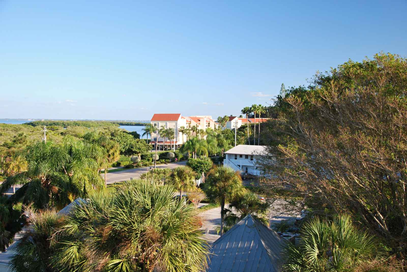 Dónde alojarse en Sarasota Longboat Key