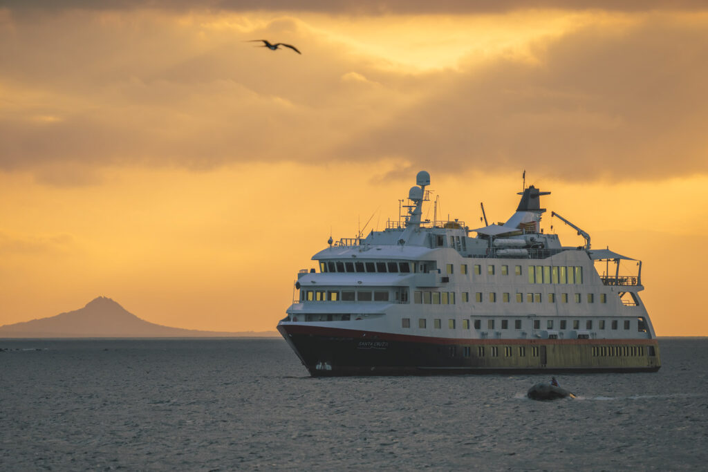 Expedition Cruises: Guía completa para navegar por destinos remotos