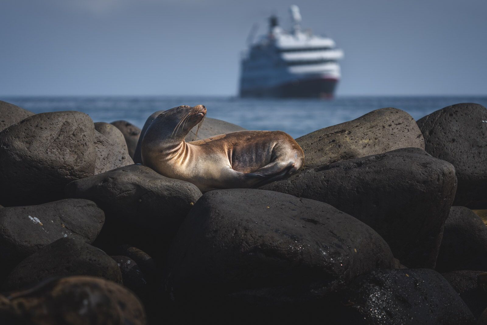 Los mejores cruceros en Galápagos HX Hurtigruten Expeditions