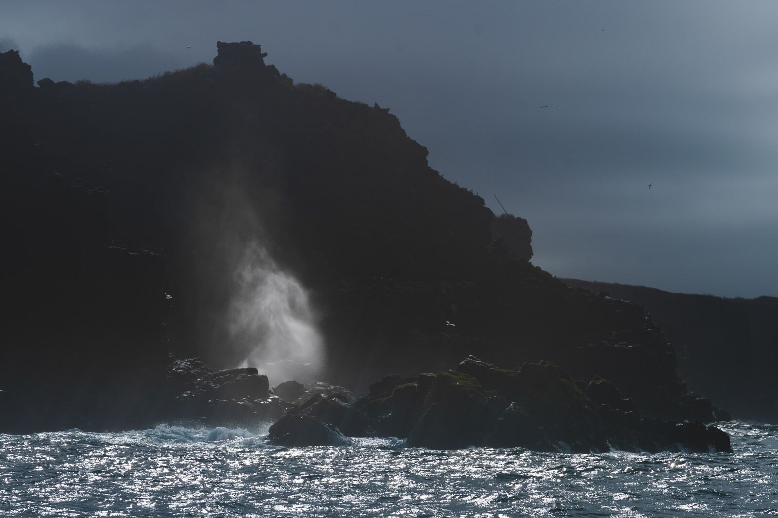 Isla Española en nuestro crucero en las Galápagos