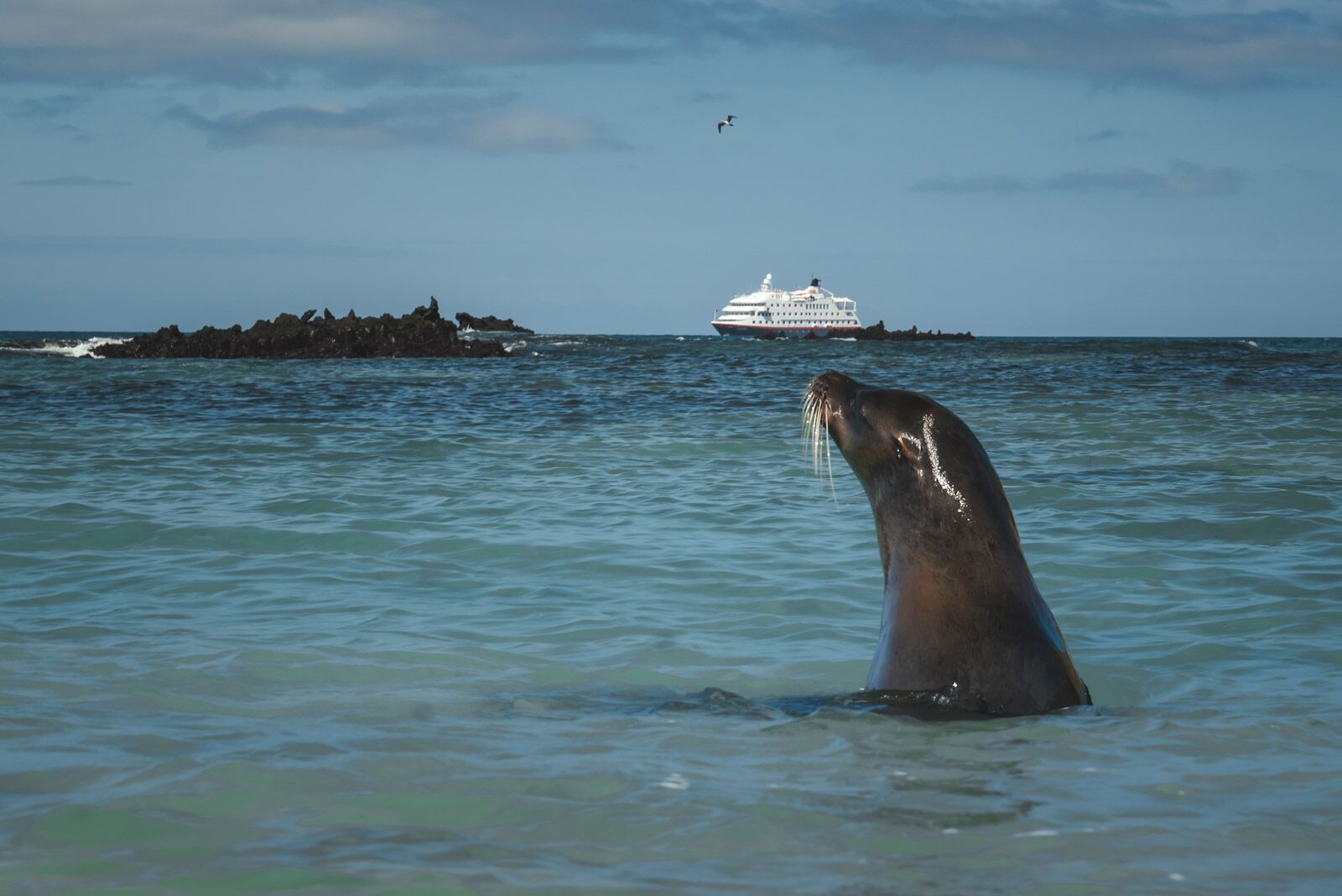 Cruceros Galápagos San Cristóbal