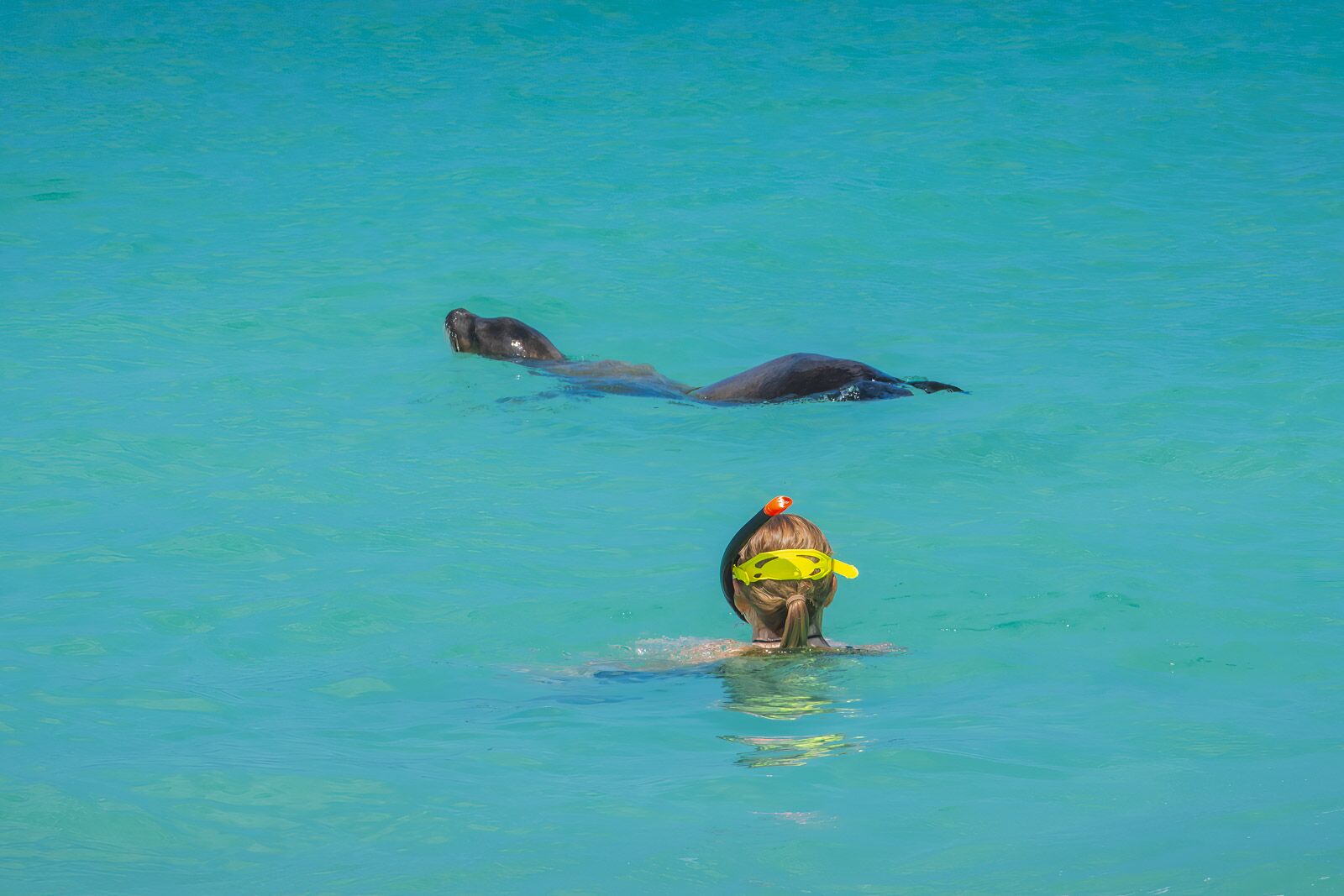 Cruceros Galápagos San Cristóbal Snorkel