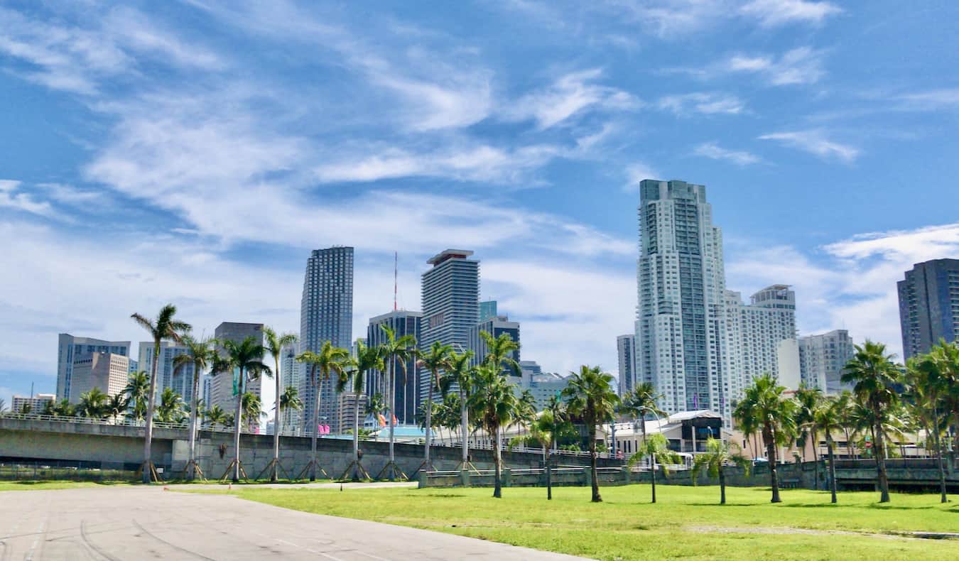 Rascacielos altos que llenan la vista en el centro de Miami, con un parque y palmeras en primer plano