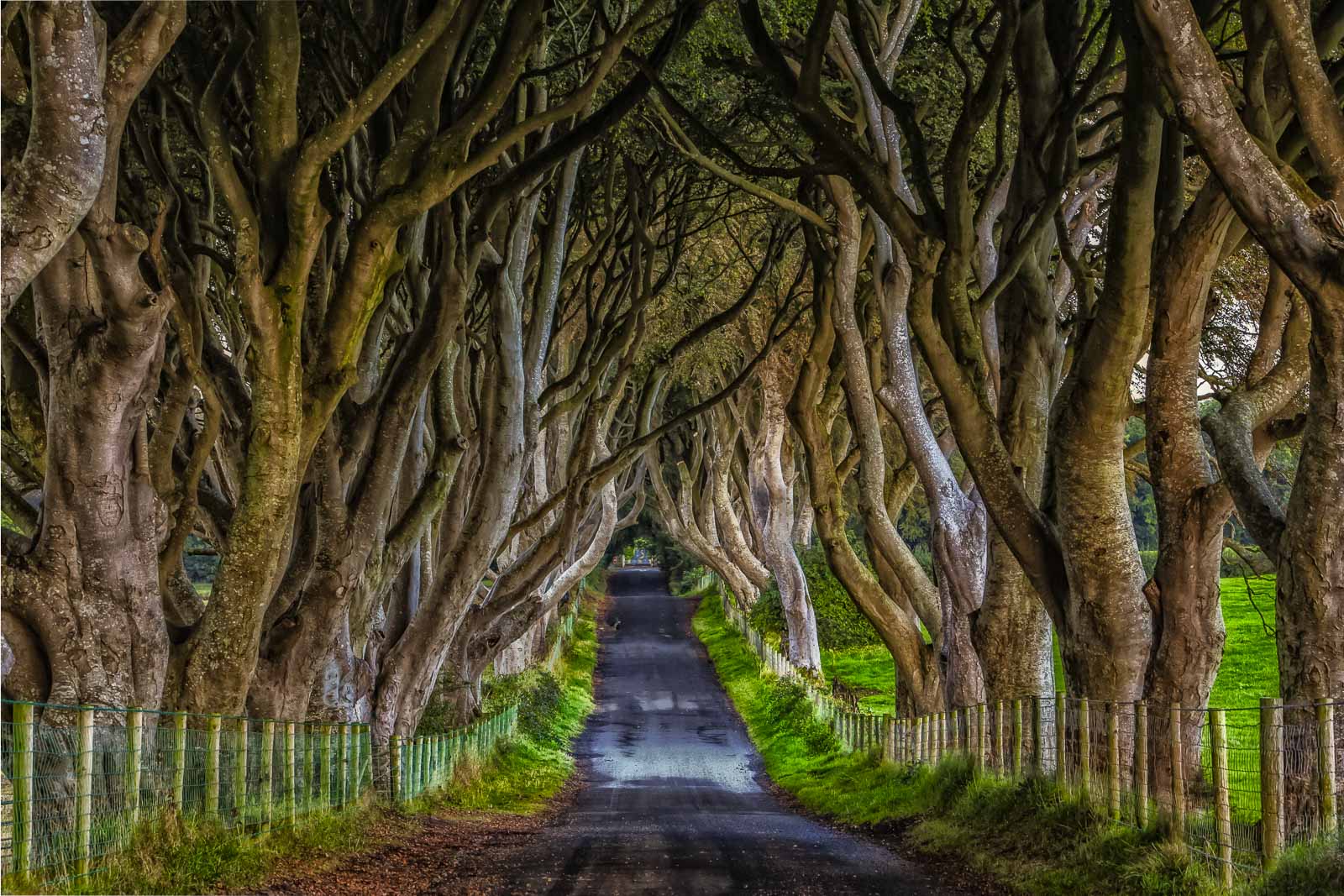 lugares para visitar en las vallas oscuras de Irlanda del Norte