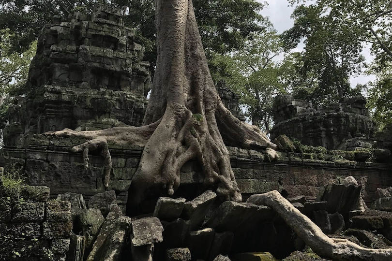 Ta Prohm