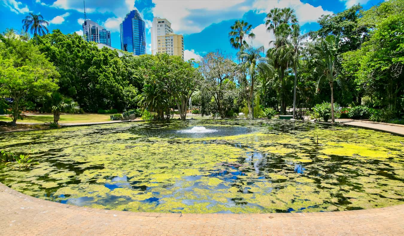 Un alto y animado CBD del centro de la soleada Brisbane, Australia