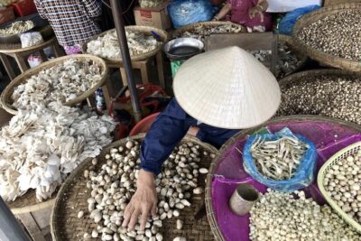 Hoi An Central Market