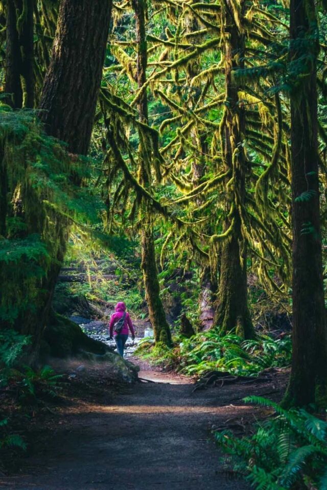 Los mejores lugares para unas vacaciones de verano en el Parque Nacional Olímpico