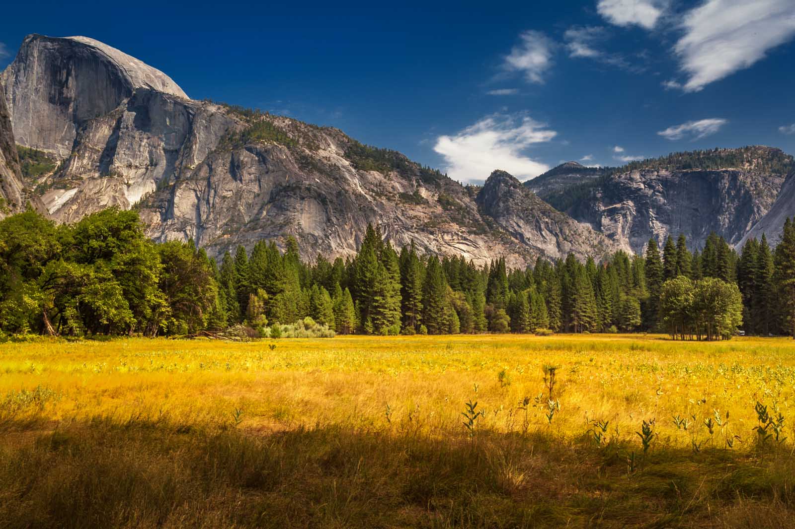 Los mejores lugares para visitar en verano del parque nacional de Yosemite de Estados Unidos