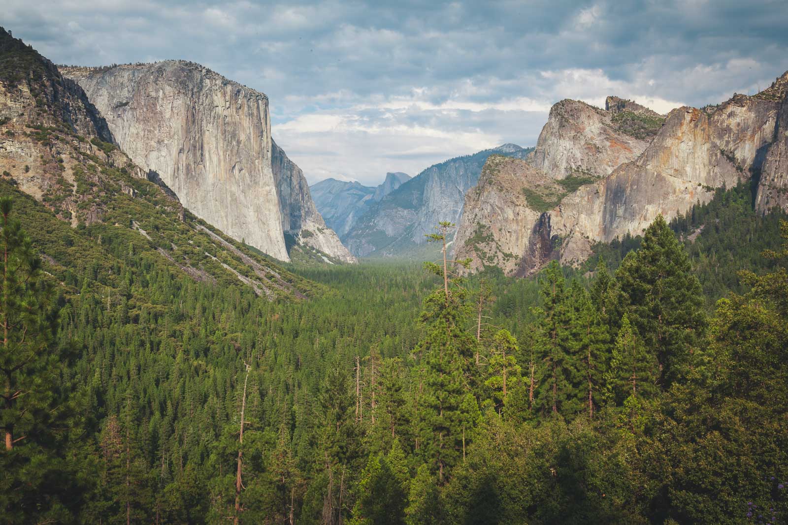 Visitante Yosemite en verano