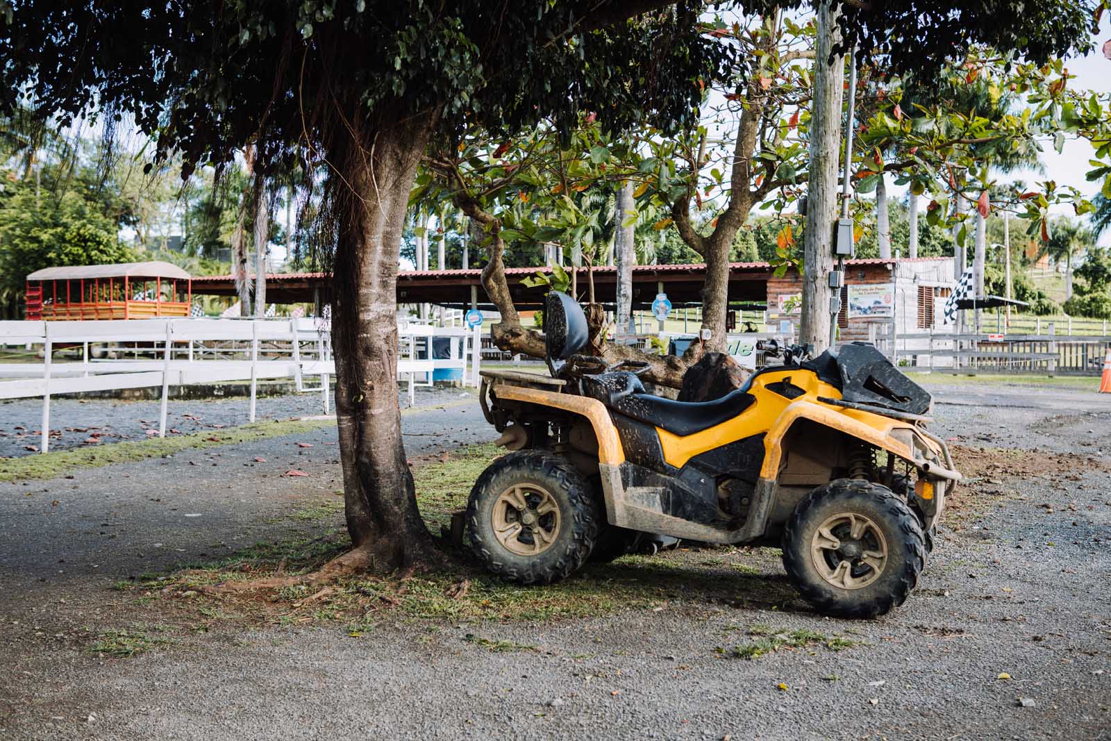 Las mejores cosas que hacer en Puerto Rico Carabali Rainforest Adventure Park