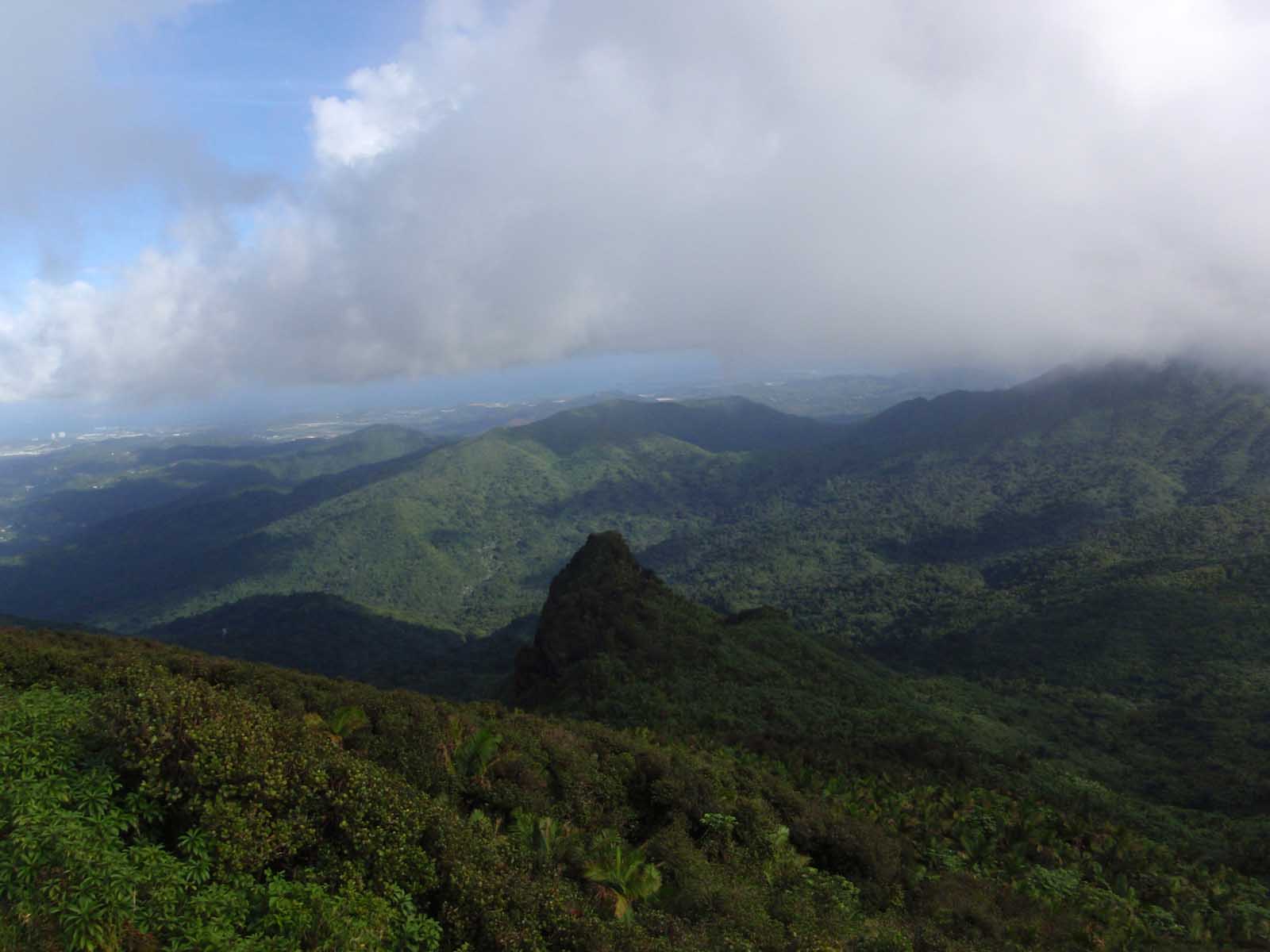 Las mejores cosas que hacer en Puerto Rico El Yunque National Forest 