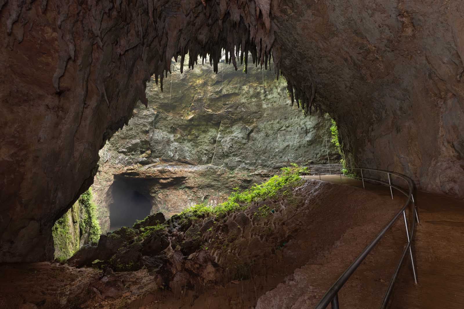 Cosas divertidas para hacer en Puerto Rico Camuy Caverns Park