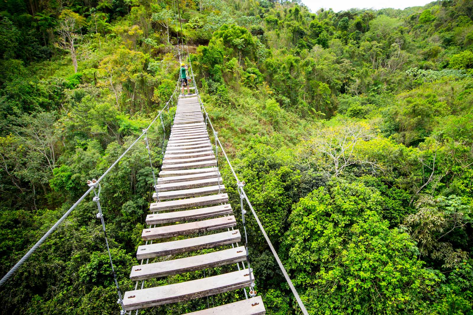 Cosas divertidas para realizar en Puerto Rico Tirolina en el parque de aventura Toro Verde