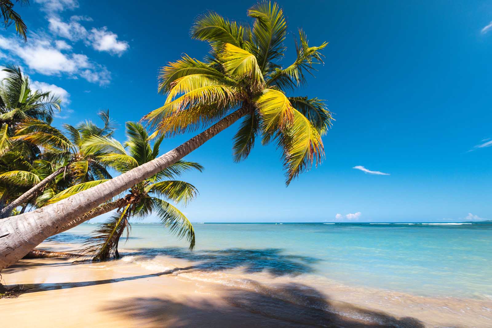 Cosas divertidas para realizar en Puerto Rico Luquillo Beach