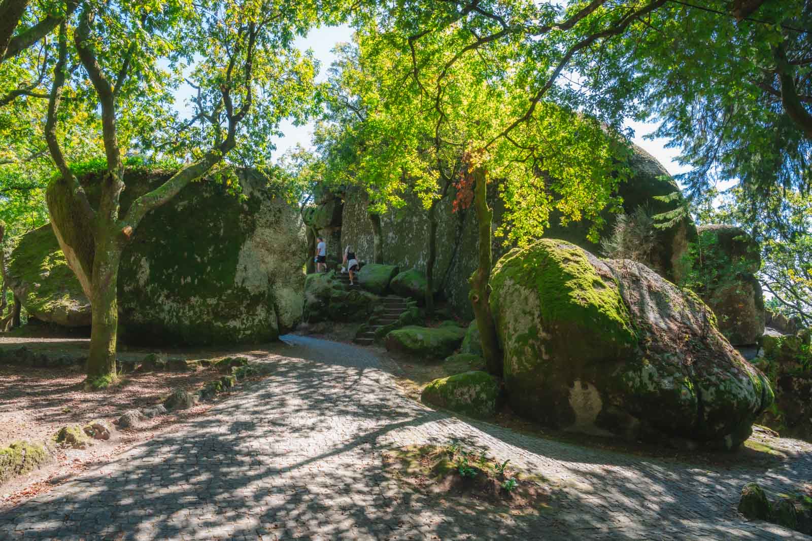 Las mejores cosas que hacer en Guimaraes Senderismo en el monte Penha