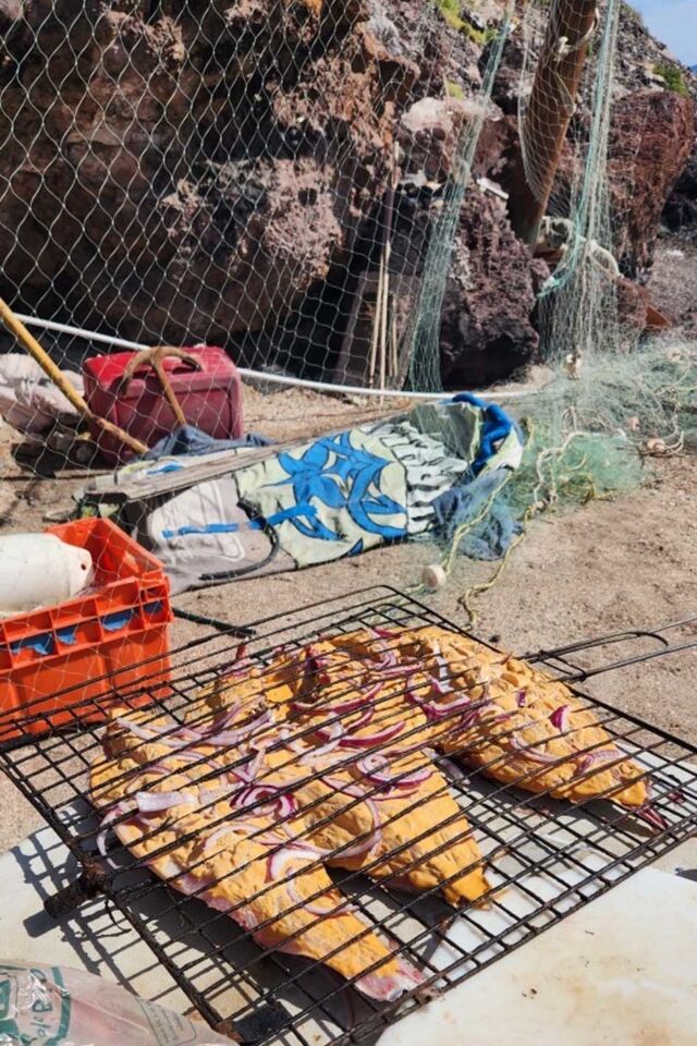 la mejor comida de Loreto, baja california sur JD