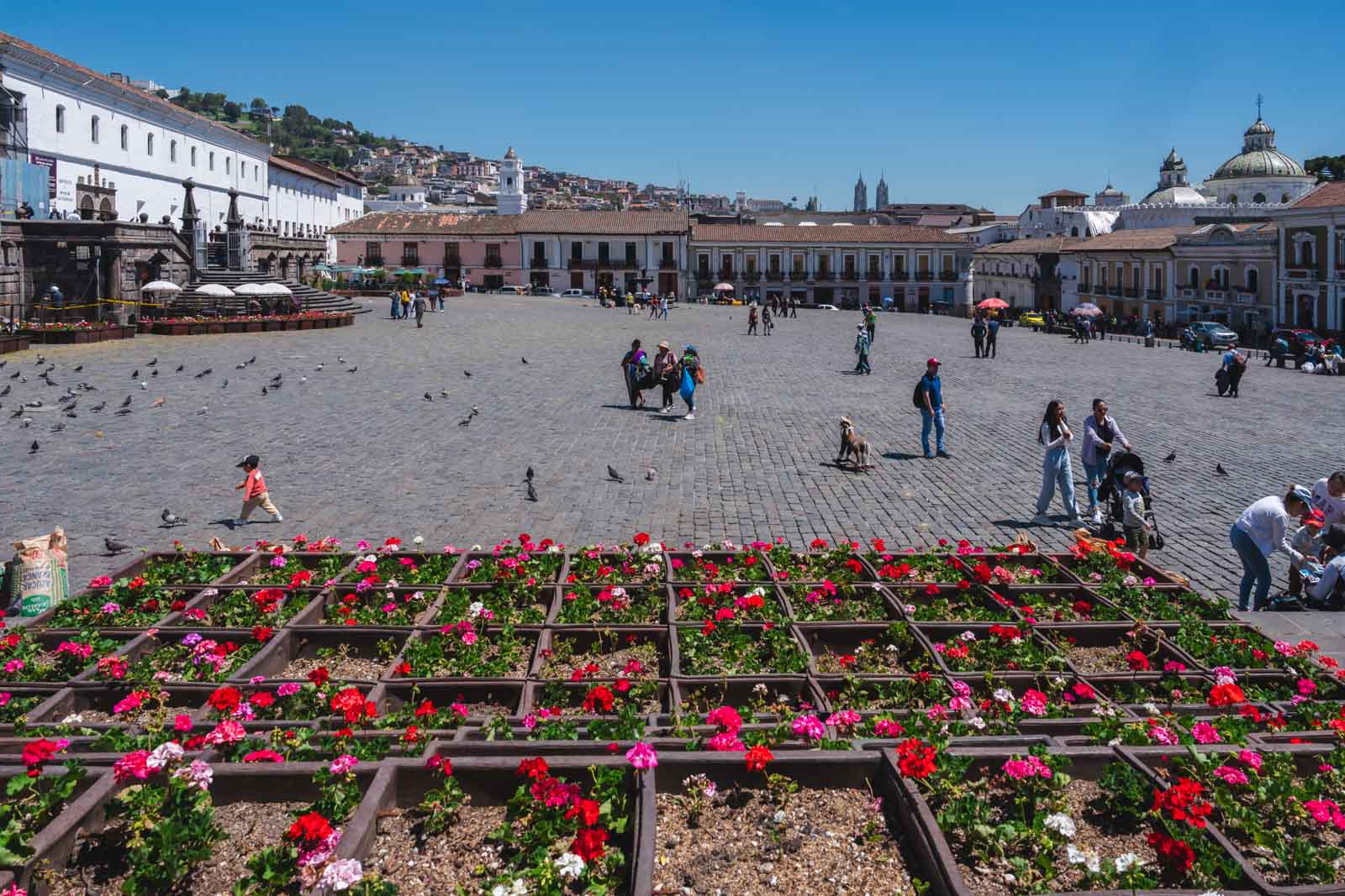 Qué hacer en el Mercado Central de Quito