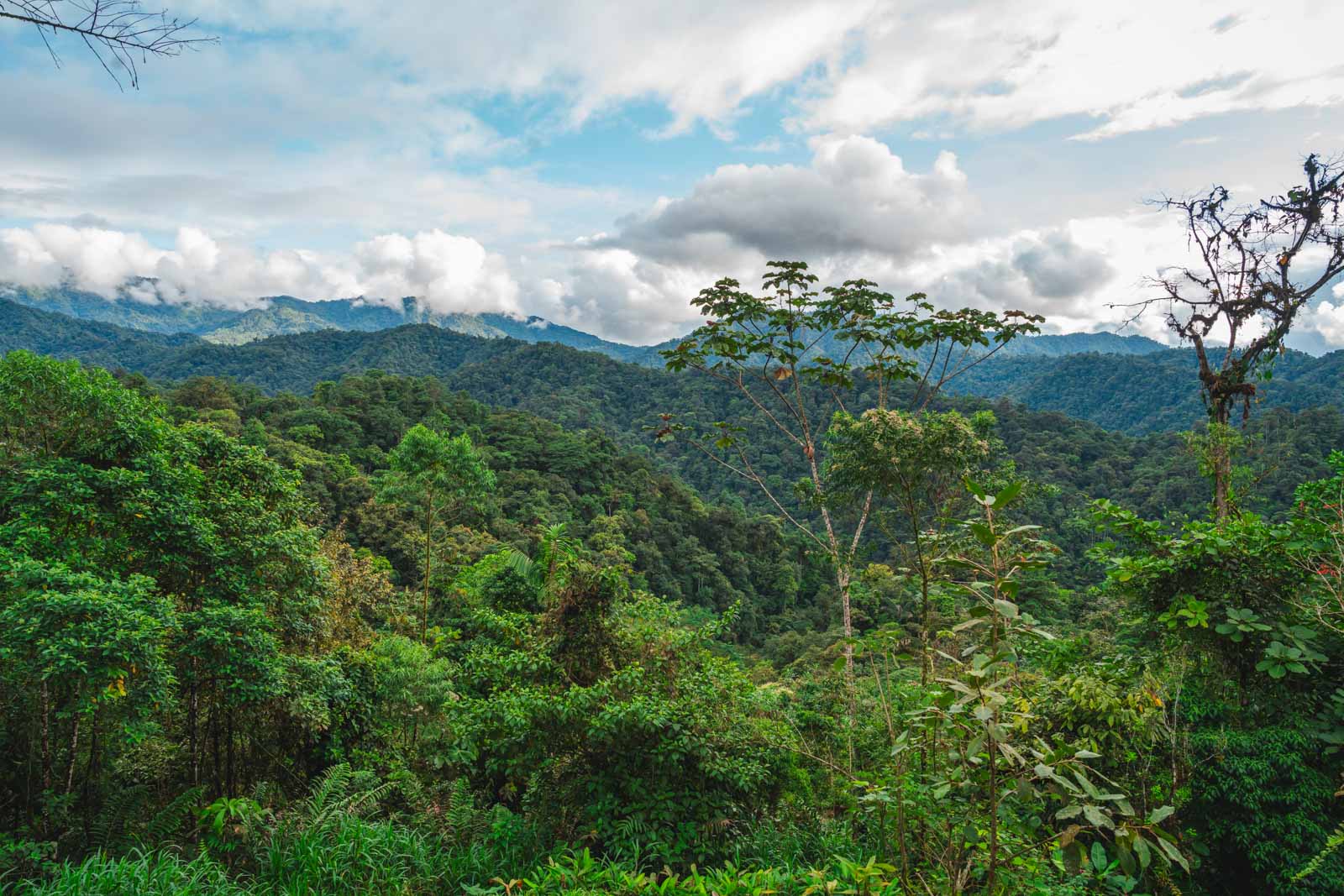 Las mejores cosas que hacer en Quito Excursión de un día en la Reserva Geobotánica de Pululahua