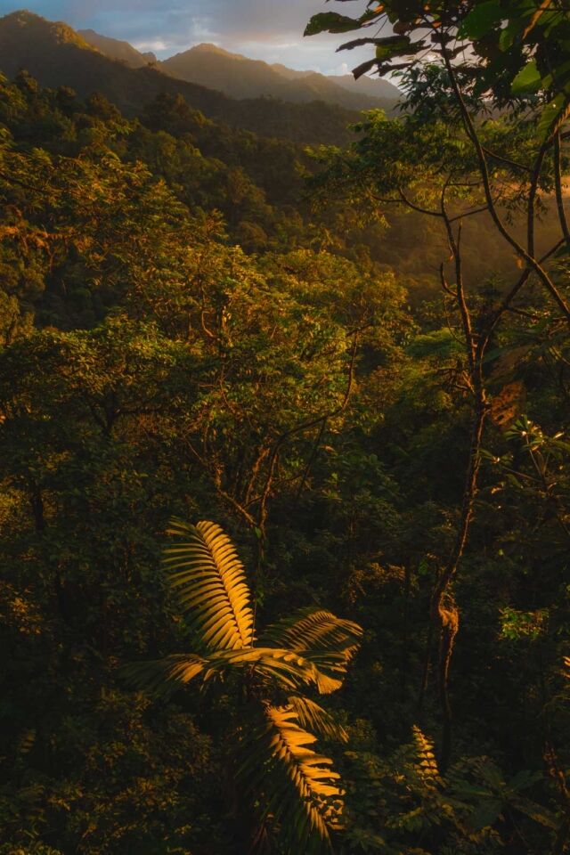 Ubicación de Mashpi Lodge Ecuador