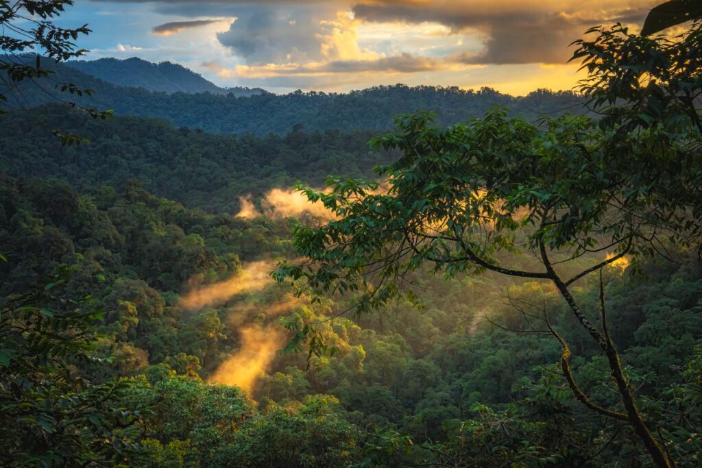 Mashpi Lodge - Lujo y aventura en el bosque de nubes de Ecuador