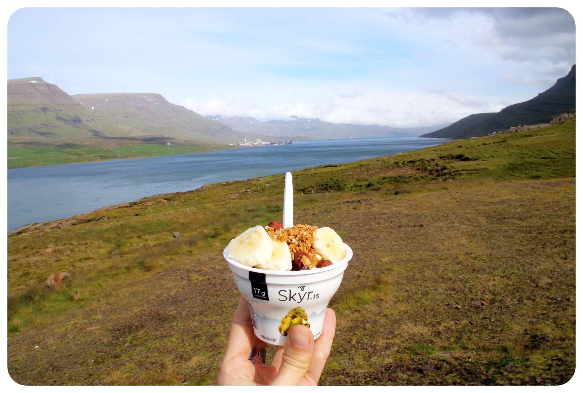 skyr Islandia